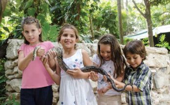 Crococun Zoo parque para niños cancun y riviera maya
