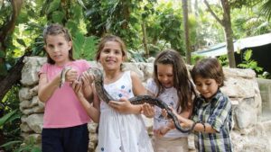 Crococun Zoo parque para niños cancun y riviera maya