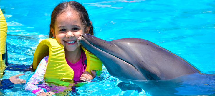 nado con delfines para niños cancun